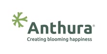 Anthura